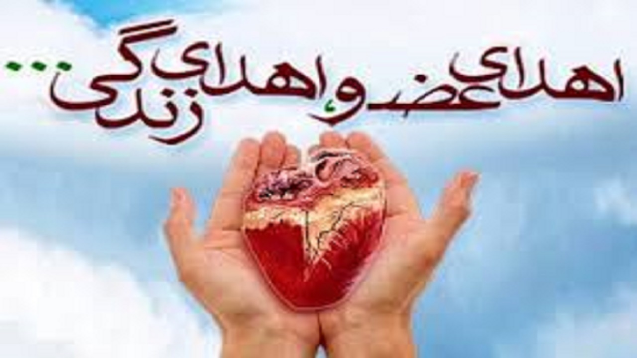 افزایش آمار پیوند عضو در ۴ ماهه ابتدایی سال