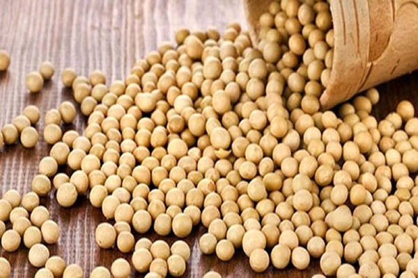 کاهش خطر ابتلا به بیماریهای قلبی عروقی با مصرف سویا