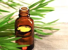 رونمایی از پژوهش آینده طب داخلی در ایران