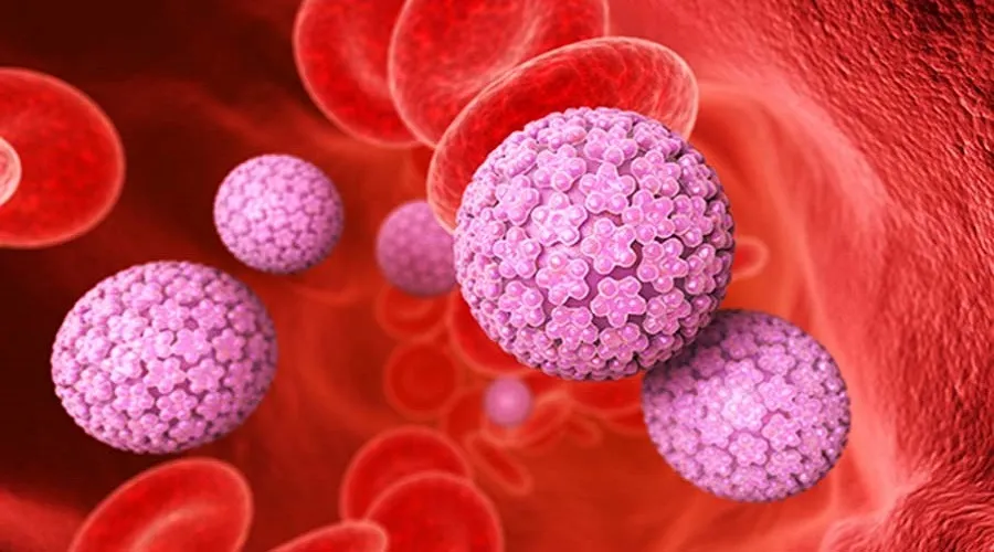 ماجرای بیماری HPV و احتمال ایجاد سونامی سرطان در ایران