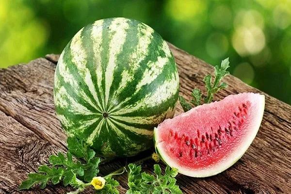 ۹ خاصیت مهم یک محصول تابستانی
