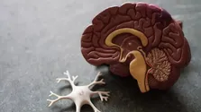 نقش ضدآفتاب در پیش‌گیری از سرطان پوست و پیری زودرس