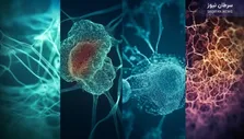 ایمونوتراپی در درمان سرطان پیشرفته کولورکتال بدون جراحی موثر است
