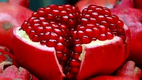ترکیبی طبیعی که سلول های پیر را ۲۸ روزه جوان می‌کند!