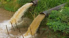 با آموزش و آگاهی، «پسماند غذایی» را کاهش دهیم
