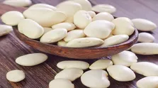 مقاومت اولیه به ایمونوتراپی در بیماران مبتلا به سرطان متاستاتیک دستگاه گوارش