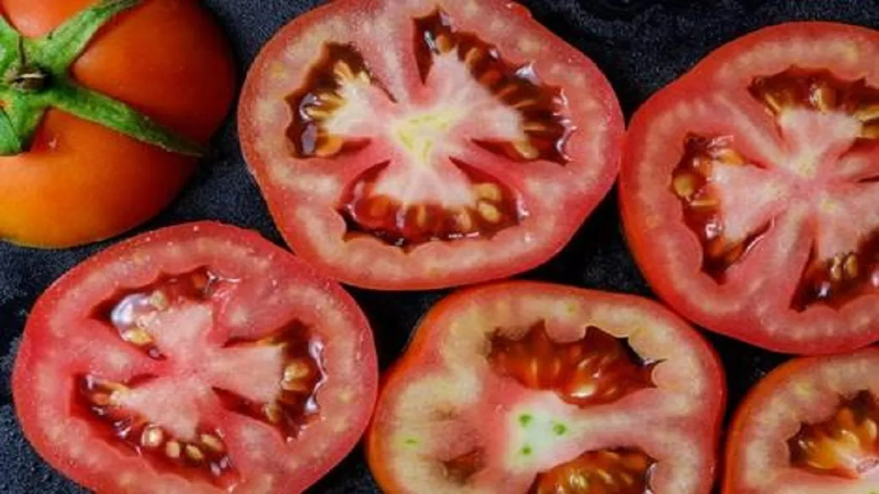 خواص گوجه فرنگی برای درمان کم خونی