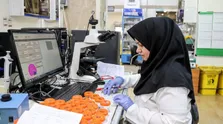 رقابت داوطلبان آزمون کارشناسی ارشد سال ۱۴۰۳ آغاز شد