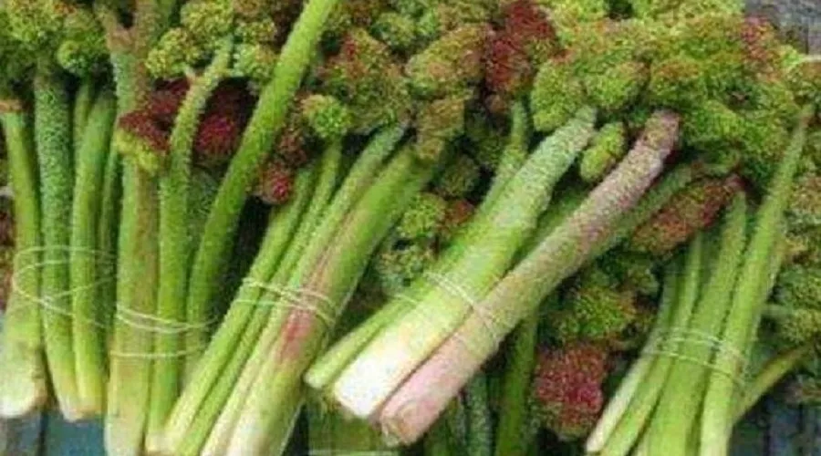 ریواس؛ خواص و عوارض آن