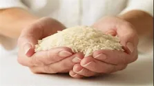 نان ،عامل شیوع برخی بیماری ها در کشور