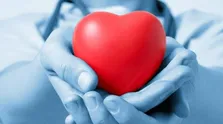 عضلات چگونه به حفظ تناسب اندام کمک می‌کنند؟