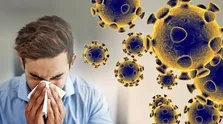 آبله میمونی؛ چالشی نوپدید برای دنیا
