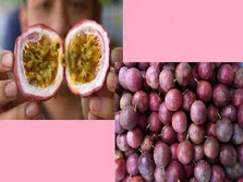 پشت پرده کمبود دارو‌های آنتی بیوتیک/ چرا تولید نمی‌شود؟