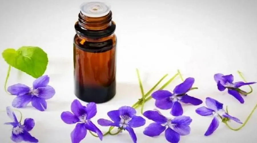 این روغن گیاهی تمام تومور‌های مغزی و کل بدن را از بین می‌برد