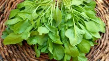 بیماری یک مادر بر جامعه اثرگذار است