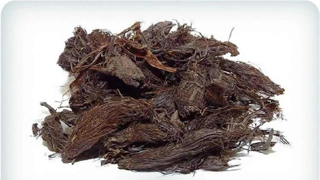 خواص سنبل الطیب؛ فواید گیاه علف گربه برای اعصاب و قلب