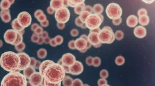 این گیاه محبوب خطر سرطان را کاهش می‌دهد