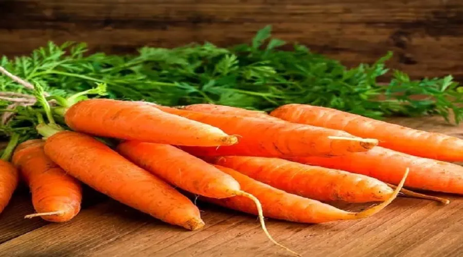 برای مبارزه با سرطان چه بخوریم؟