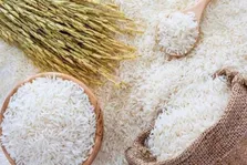 رفع چاقی شکمی با چند راهکار خانگی