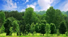۱۱ آلاینده بیماری‌زای مخفی در خانه