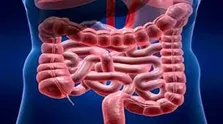 استفاده از شبکه‌های عصبی برای پیش‌بینی نتایج درمان در سرطان ریه سلول کوچک (SCLC)
