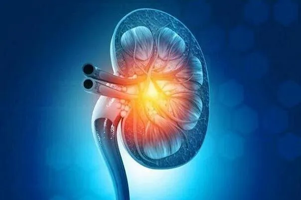 استروژن به کاهش علائم عفونت های ادراری در زنان کمک می کند