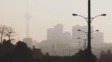 همین گلدان های ساده چطور جلوی سرطان را می گیرند؟