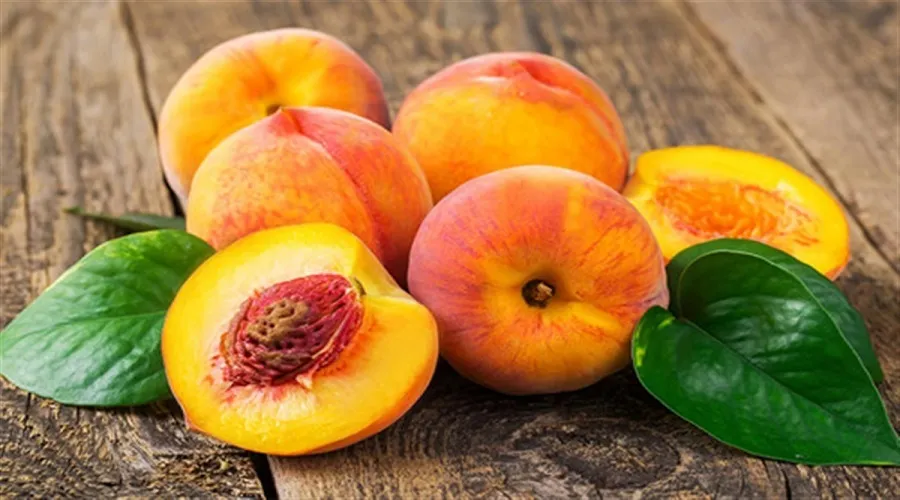 یک عدد هلو ۸ درصد از فیبر بدن را تأمین می‌کند