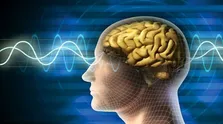 تفاوت آلزایمر با زوال عقل