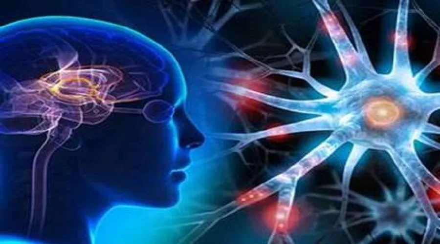 گلیوبلاستوما (GBM)، بدخیم‌ترین نوع تومور مغزی در بزرگسالان