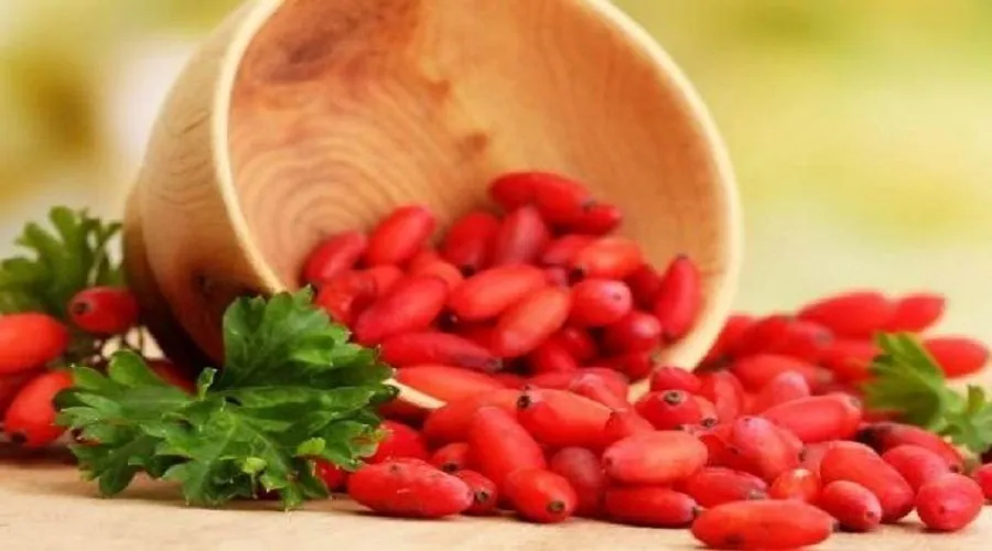 ترکیب طبیعی «بربرین» شدت علائم ام اس را کاهش می دهد