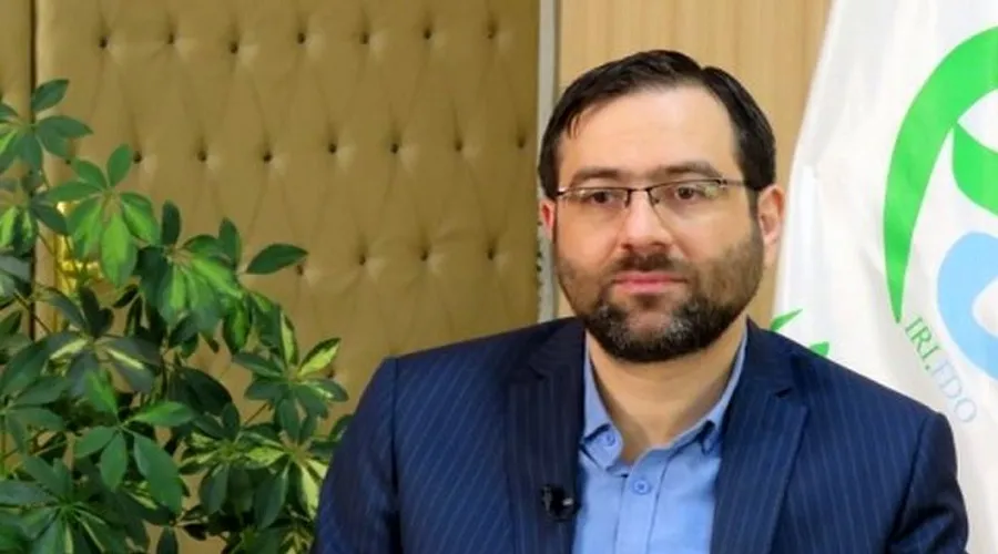بازار فرآورده‌های طبیعی و سنتی باید بزرگ شود