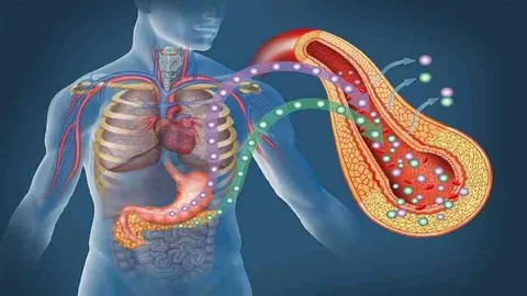 ۵ تغییر سبک زندگی برای مدیریت کلسترول
