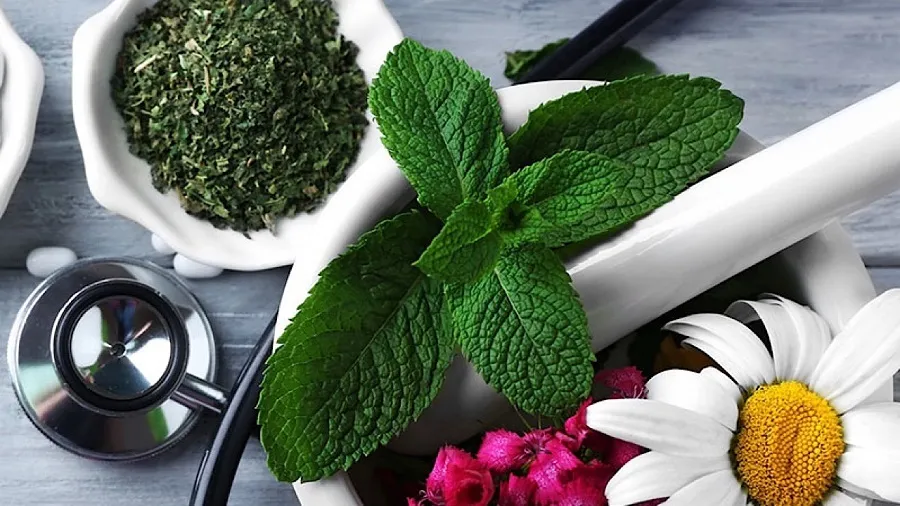 تصویب تشکیل دبیرخانه طب ایرانی در شورای عالی نظام پزشکی