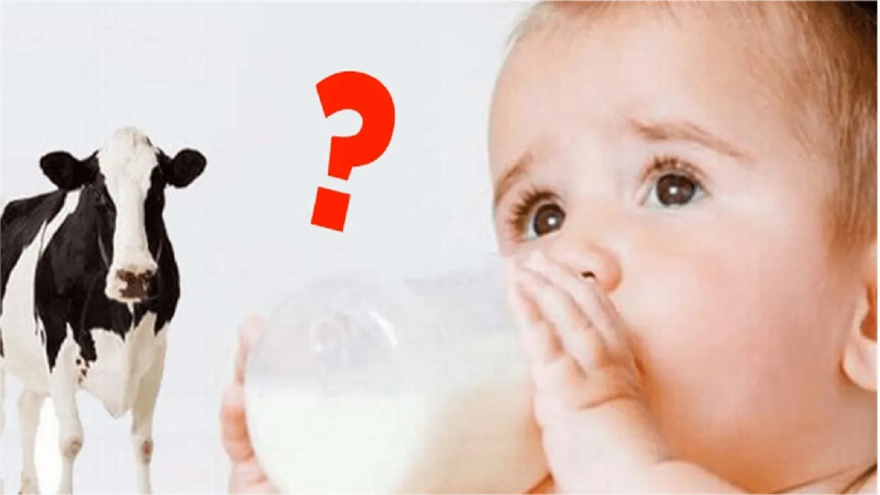 چرا شیر گاو برای نوزادان زیر ۶ ماه مناسب نیست؟