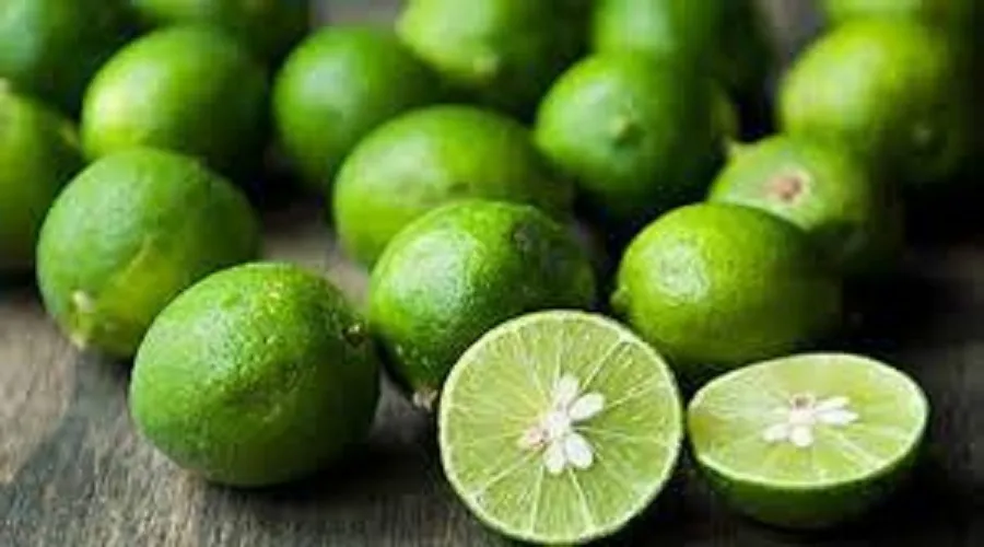 اگر موی بلند دوست دارید لیمو ترش مصرف کنید