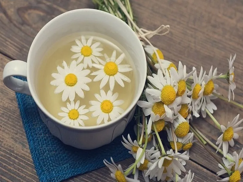 کاهش التهاب سینوس‌ها با بخور روغن بابونه/ دمنوش‌ آویشن مناسب التیام سرفه‌های خلط دار