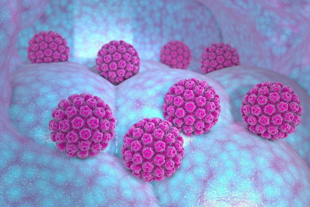 ویروس HPV: واقعیت‌ها در برابر شایعات