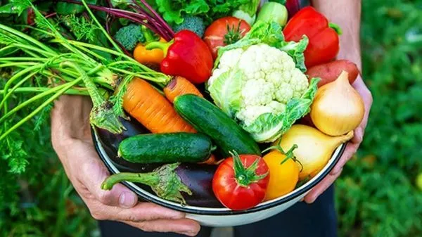 با این ۱۱ خوراکی گیاهی کمتر دندانپزشکی بروید!