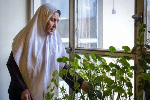 کارهای روزمره و معاشرت خطر زوال عقل را کاهش می دهد