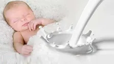 هشدار درباره چالش در تامین شیرخشک در صورت عدم تامین ارز