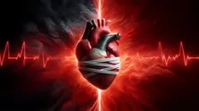 مطالعه یک ماده مغذی، مسیری برای درمان اختلالات مغزی!