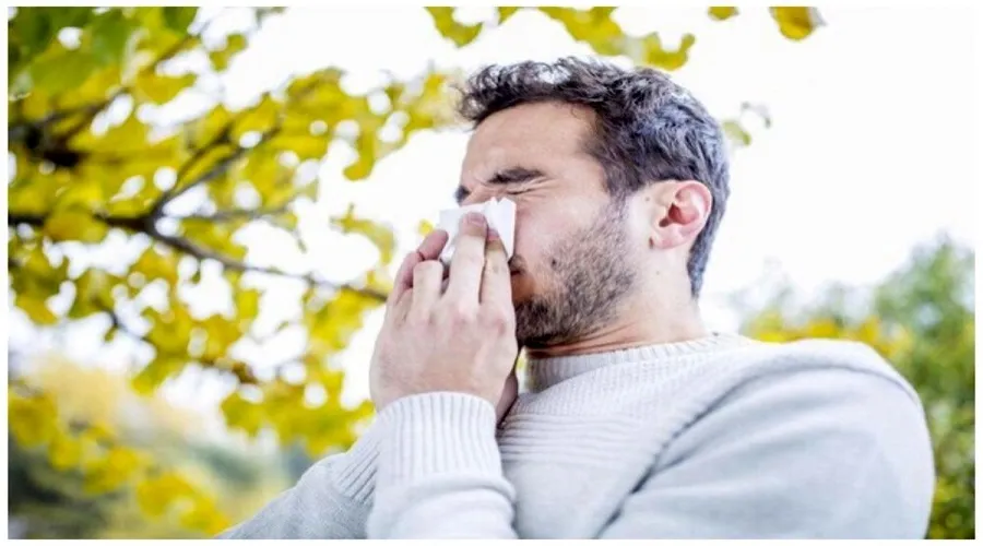برای تسکین آلرژی بهاری چه بخوریم؟