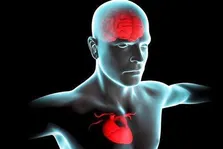 غذا‌هایی که مرگبار هستند