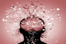 ثابت نگه داشتن کلسترول در پیشگیری از زوال عقل موثر است