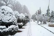 راهنمای حمایت از بیماران شدید روانپزشکی در شرایط جنگی ویژه خانواده‌ها و مراقبان بیماران