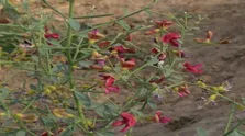 با این غذاها یبوست می گیرید!