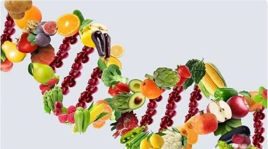 ژنتیک یا رژیم غذایی؛ کدام یک بیشتر بر طول عمر تاثیر می‌گذارند؟
