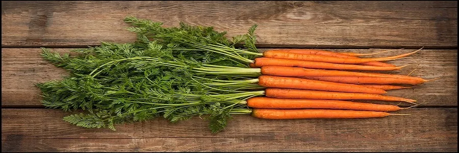 تقویت سیستم گوارشی پس از مصرف هویج + فیلم