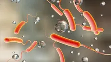 درخواست تشکیل کارگروه بررسی آثار حادثه بندر شهید رجایی بر سلامت و امنیت غذایی
